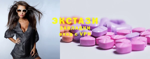 молекула духа Вяземский